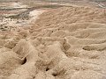 DSC05509