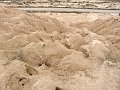 DSC05510