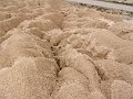 DSC05514