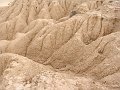 DSC05516