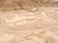 DSC05520