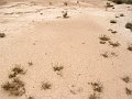 DSC05522