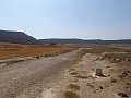 DSC05586