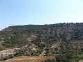 DSC05609