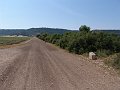 DSC05641