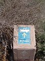 DSC05730