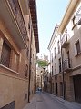 DSC04221