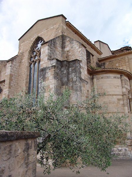 DSC03010.jpg
