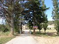 DSC02821