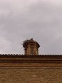 DSC02889