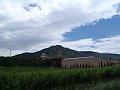 DSC02950