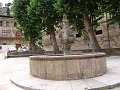 DSC02955