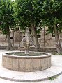 DSC02956