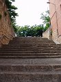 DSC02990