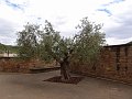 DSC03011