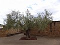 DSC03012