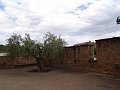 DSC03019