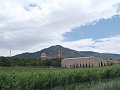DSC02950