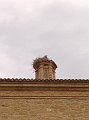 DSC02889