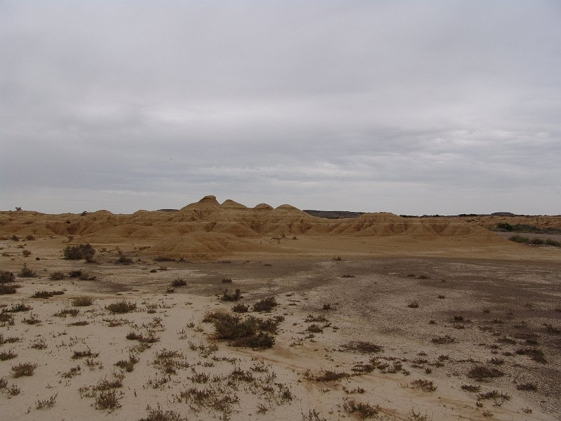 DSC04409.JPG