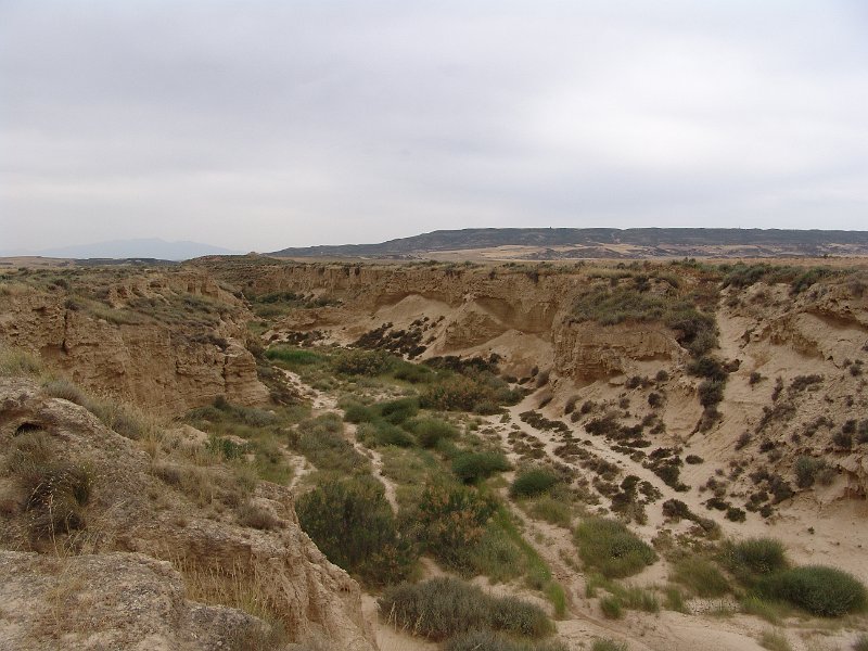 DSC04470.JPG