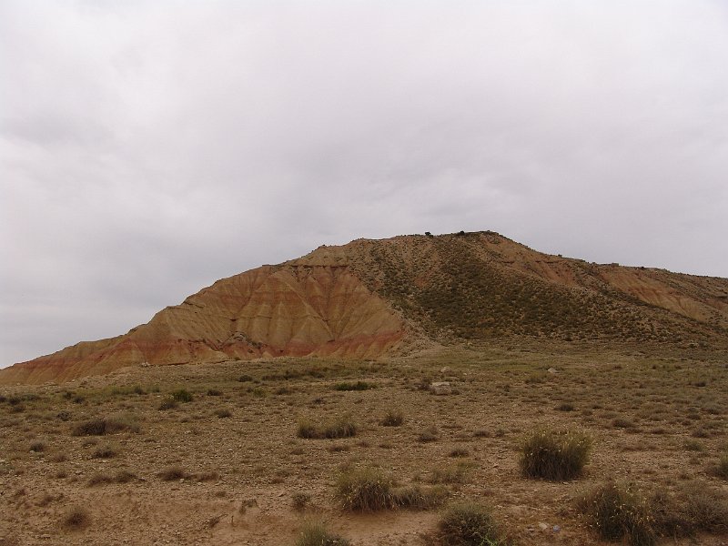 DSC04483.JPG