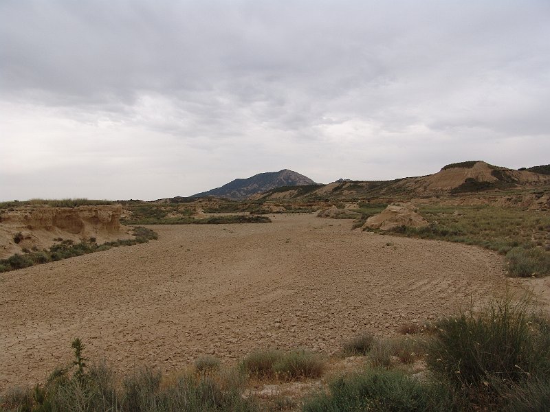 DSC04494.JPG