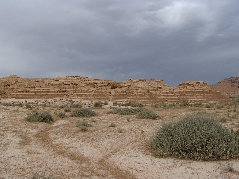 DSC04529.JPG