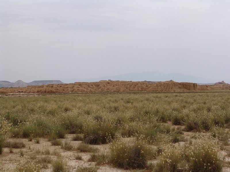 DSC04534.JPG