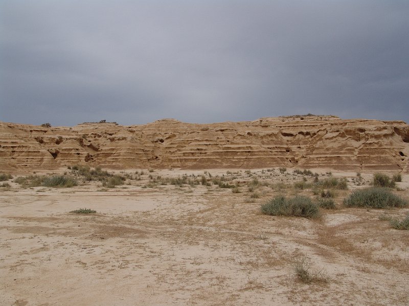 DSC04538.JPG