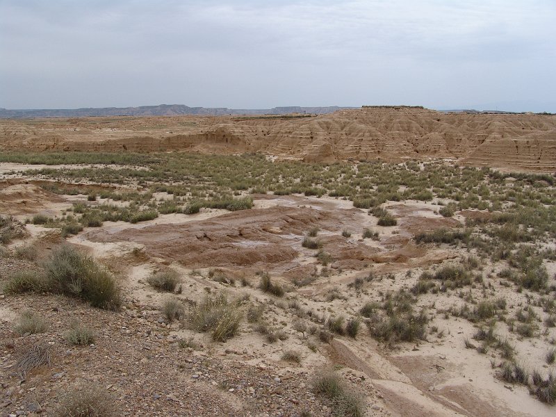 DSC04547.JPG