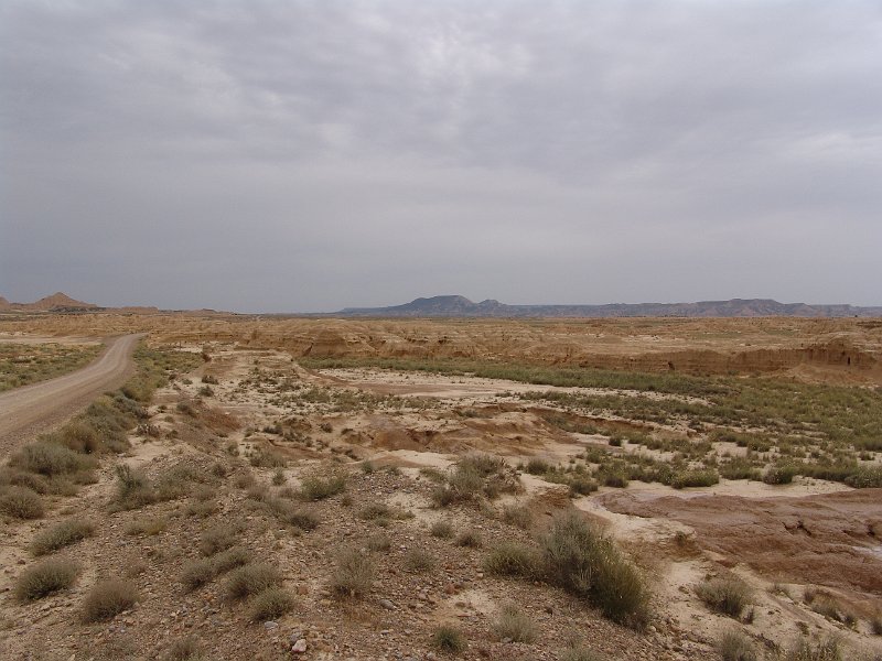 DSC04550.JPG