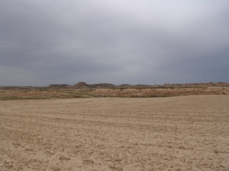DSC04554.JPG