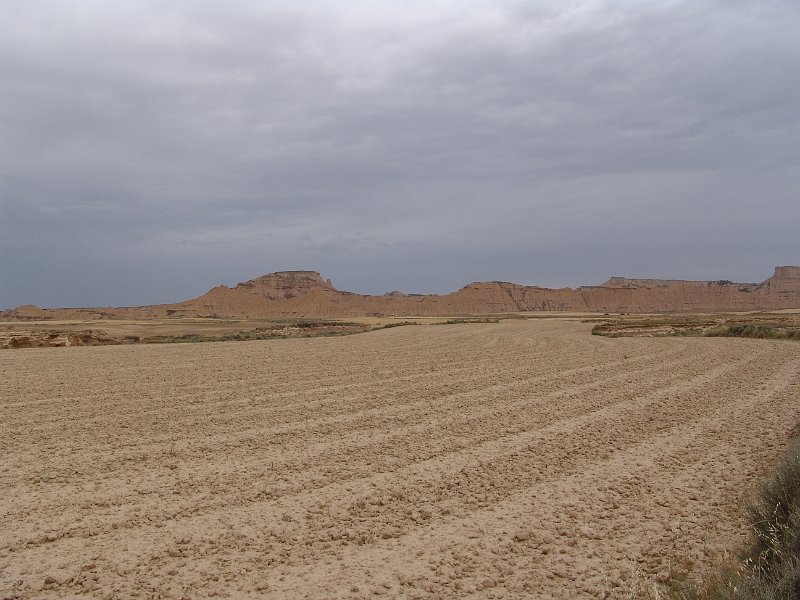 DSC04556.JPG
