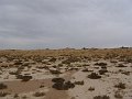 DSC04408
