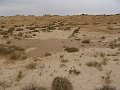 DSC04410