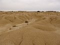 DSC04411