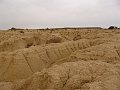 DSC04412