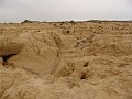 DSC04415