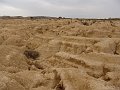 DSC04421