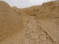 DSC04426