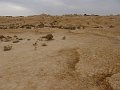 DSC04427