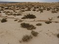 DSC04430