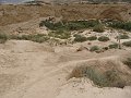 DSC04443b