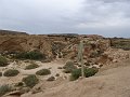 DSC04443c