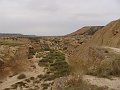 DSC04444