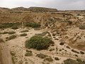DSC04445