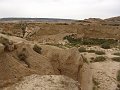 DSC04446