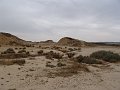 DSC04448