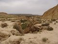 DSC04449